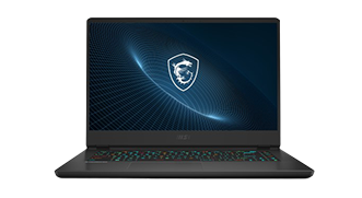 MSI Vector GP66